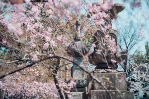 KOUSHOJI Temple