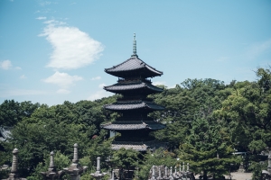 National Important Cultural Property, Five-storied Pagoda