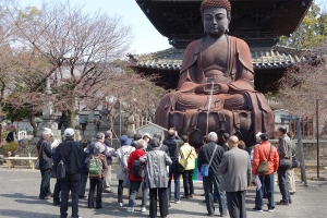 ご案内付き境内散策