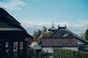 興正寺-秋の風景