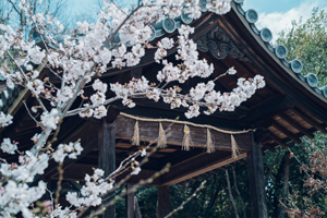 興正寺-秋の風景