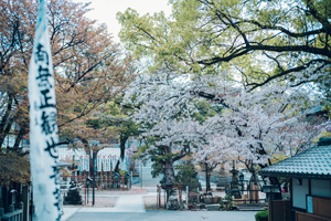 興正寺-秋の風景