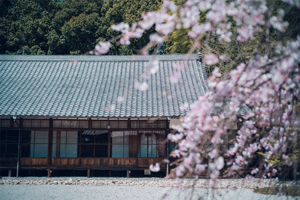 興正寺-秋の風景