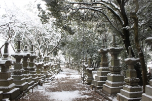 雪景色