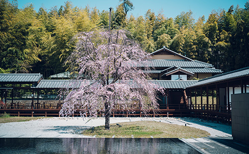 Fumon Garden (Chikusui-tei)