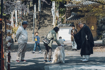 十三参り(智慧授け)