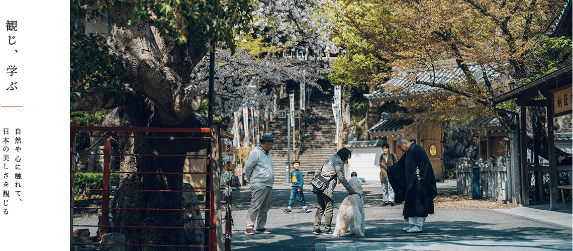 観じ、学ぶ　自然や心に触れて、 日本の美しさを観じる